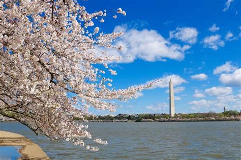 THE 10 CLOSEST Hotels to Tidal Basin .